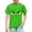 Green, variant on Boys Blue Angry Face Graphic T-Shirt 100% Soft Cotton Short Sleeve Crewneck Tee Funny Novelty TopSize 9 T