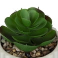 thumbnail image 5 of hometrends Cozby Faux Succulent in Cream Pot, 5 of 5