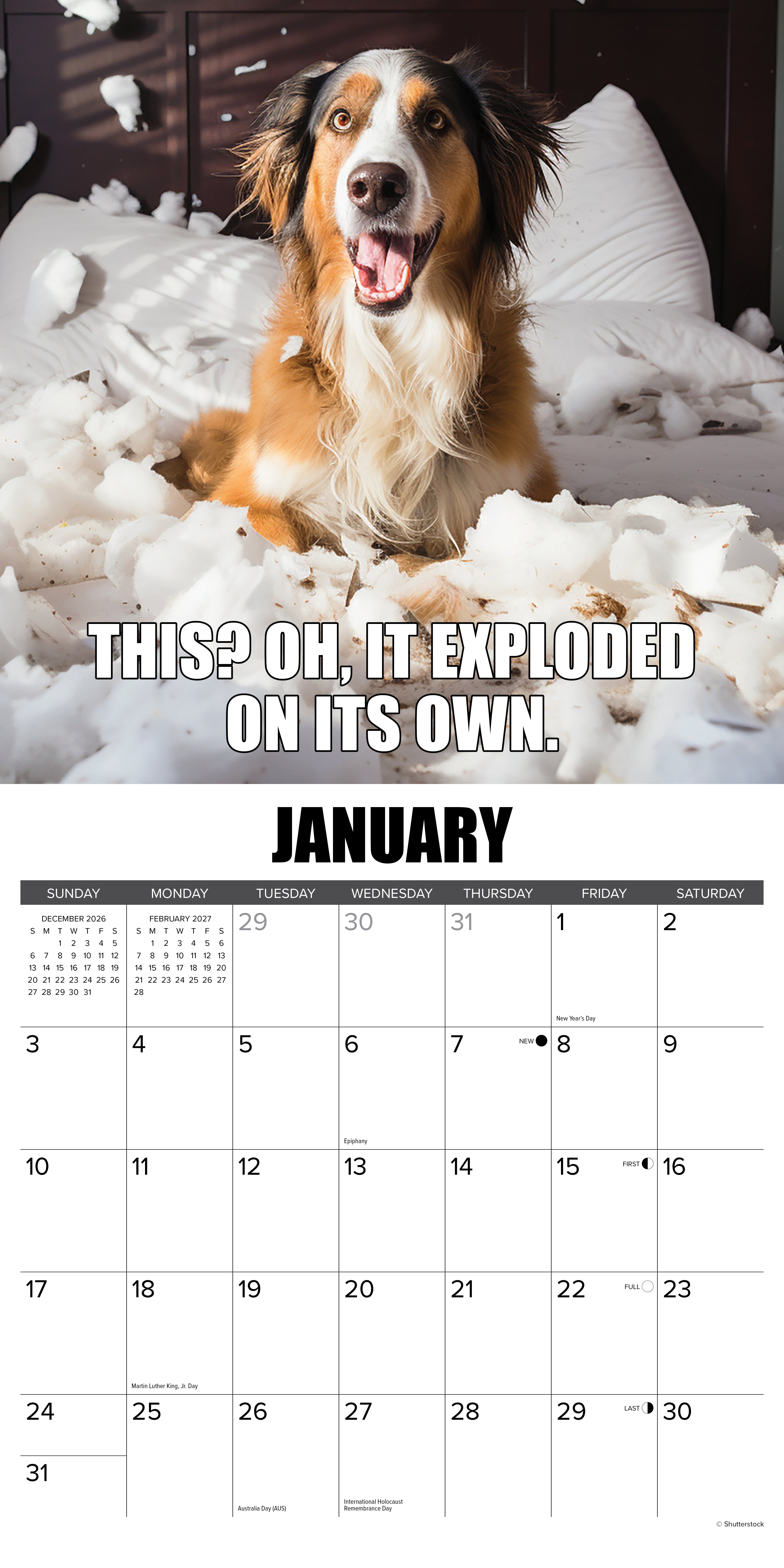 Willow Creek Press, Dog-Gone-It 2027 Wall Calendar