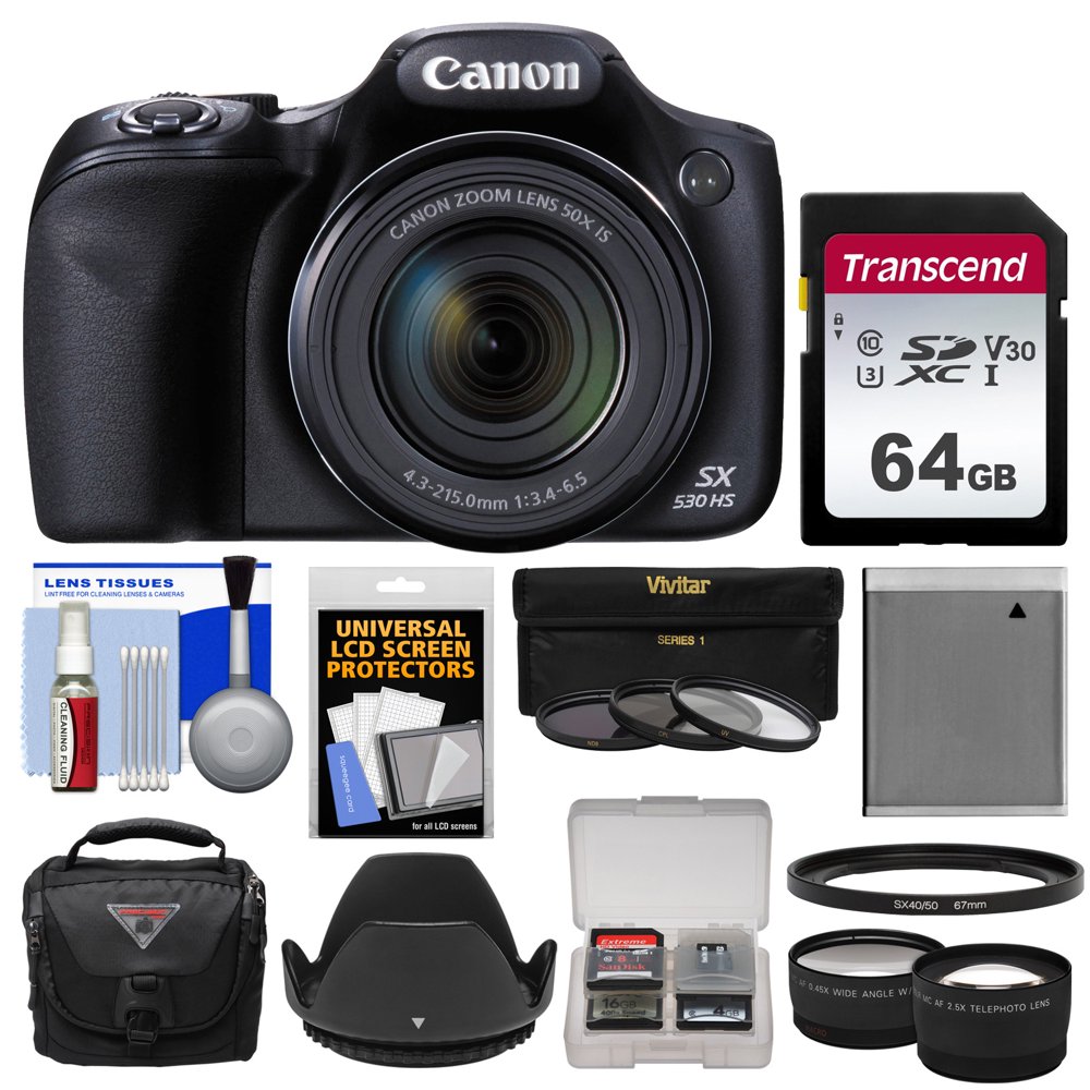 Canon PowerShot SX530 HS WiFi Digital Camera with 64GB Card + Case
