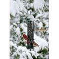 thumbnail image 4 of Brome Bird Care BD1015 Squirrel Buster Classic, 4 of 7