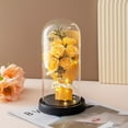 thumbnail image 2 of Valentines Day Gifts For Girlfriend & Wife, Girlfriend Presents,Cool Gifts To Get Your Girlfriend,Preserved Rose Night Light in Glass/ Dome,Valentine's Day Decorations, 2 of 4