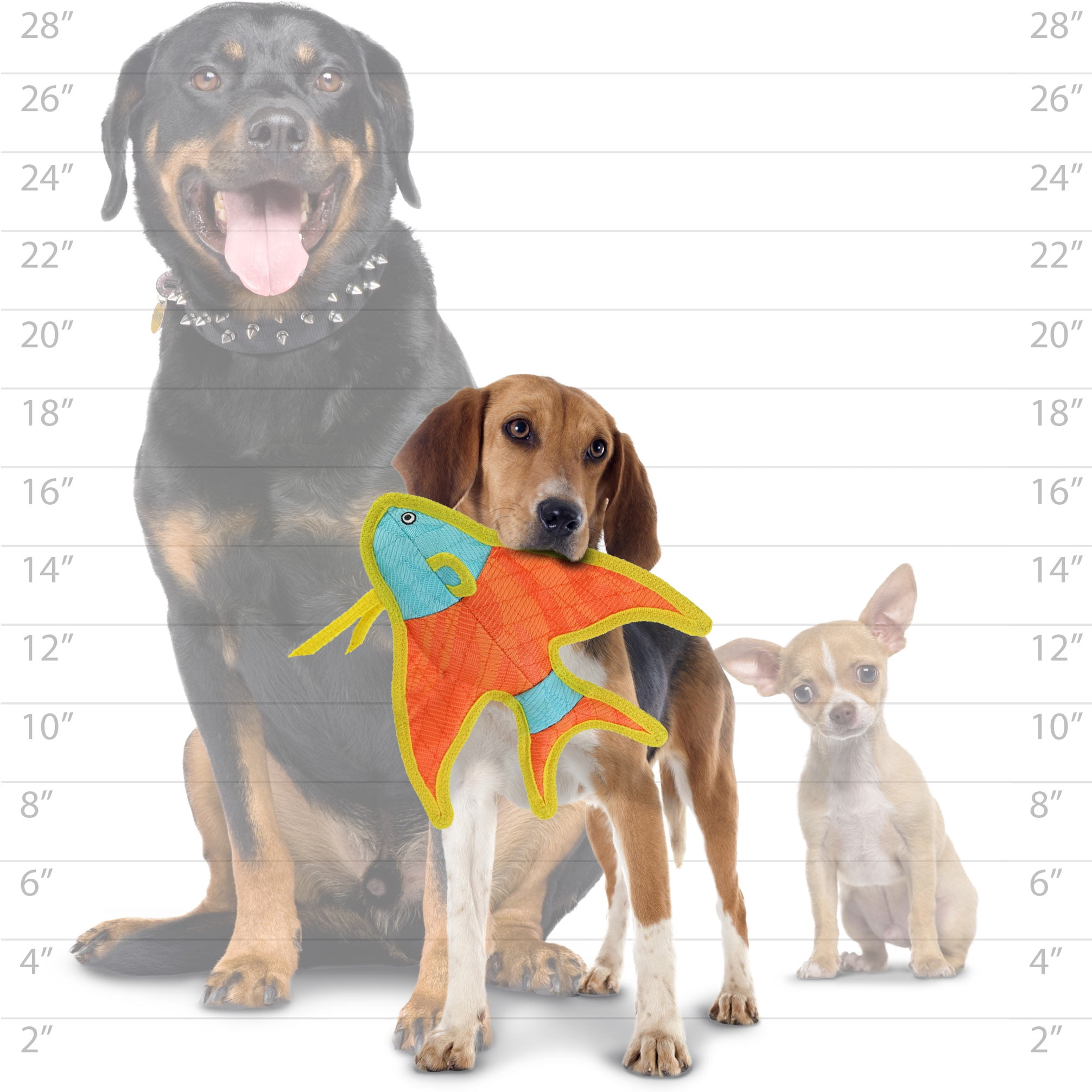 DuraForce Durable Woven Fiber Angel Fish Orange, Dog Toy with Squeaker 2 Pack