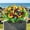 149#C, variant on Memorial Cemetery Flowers, Grave Saddle Arrangement Tombstone Decoration Weather Resistant Tribute Display, Sympathy Floral Memorial Accent for Cemetery Grave Site for Memorial Day