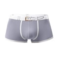 thumbnail image 1 of PEASKJP Mens Trunk Underwear Soft Comfortable Bamboo Viscose Underwear Trunks,Gray XXL, 1 of 5