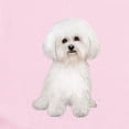 thumbnail image 2 of CafePress - Bichon Frise #2 Infant Bodysuit - Baby Light Bodysuit, Size Newborn - 24 Months, 2 of 4