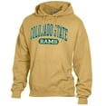 thumbnail image 2 of Men's Comfort Wash  Gold Colorado State Rams Lightweight Fleece Pullover Hoodie, 2 of 3