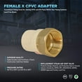 thumbnail image 7 of Supply Giant BRCPF112-NL 1-1/2" Lead Free Adapter Fitting with a Brass Female and a CPVC Connect, 7 of 7