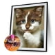 thumbnail image 2 of Cuadros Decorativos Kit de pintura de diamante 5D mosaico de taladro redondo completo de gato DIY (HJ497) Sywqhk Nuevos Originales, 2 of 9