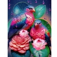 thumbnail image 1 of Cuadros Decorativos 5D bricolaje ronda completa taladro diamante pintura loro Kit decoración del hogar (sz3397) DQrwqpou Nuevos Originales, 1 of 9