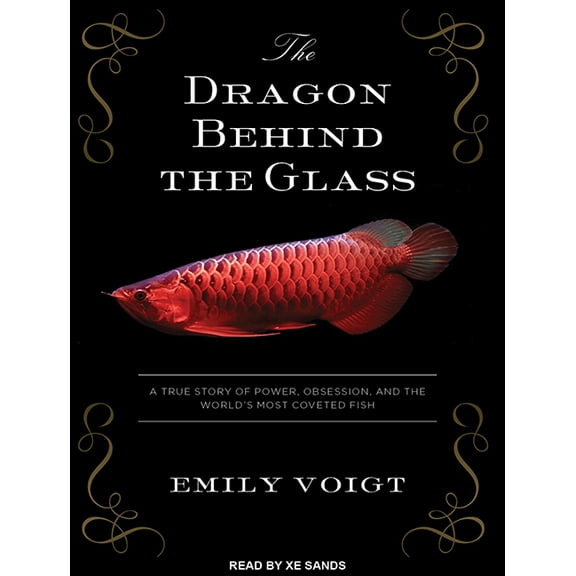 The Dragon Behind the Glass (Audiobook)