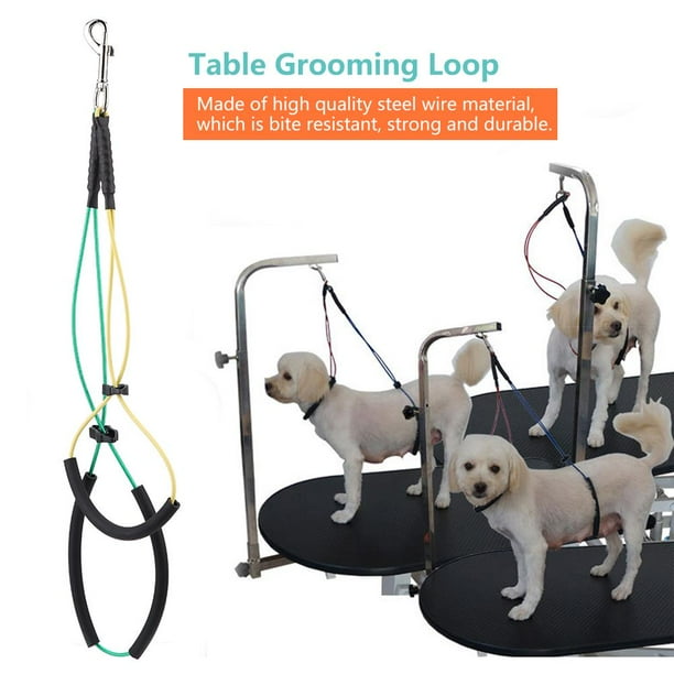 Dog grooming noose sales