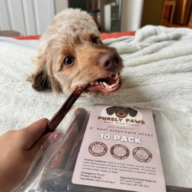 Purely Paws All-Natural Beef Esophagus Sticks - Safe, High-Reward Dog Chew Sticks- Rawhide Free - (12 Inch, 10 Count)