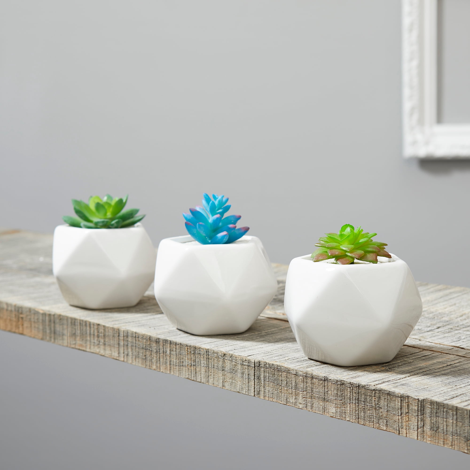FloraCraft 3.5" Artificial Soft-touch Echeveria Bouquet