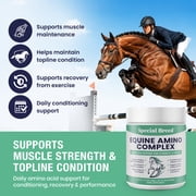 150-Day Supply Horse Amino Acid Supplement - Equine Amino Complex for Muscle, Topline & Recovery Support - Supports Strength, Tissue Repair & Vitality - Daily Horse Supplement Powder
