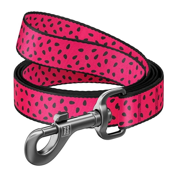 WAUDOG Nylon Leash with Unique Design | Strong & Special Design Leash for Cute Small, Medium Large Dog | Heavy Duty Dog Leashes for Large Breed Dog & Puppy Leash for Small Boy & Girl Dog - Watermelon