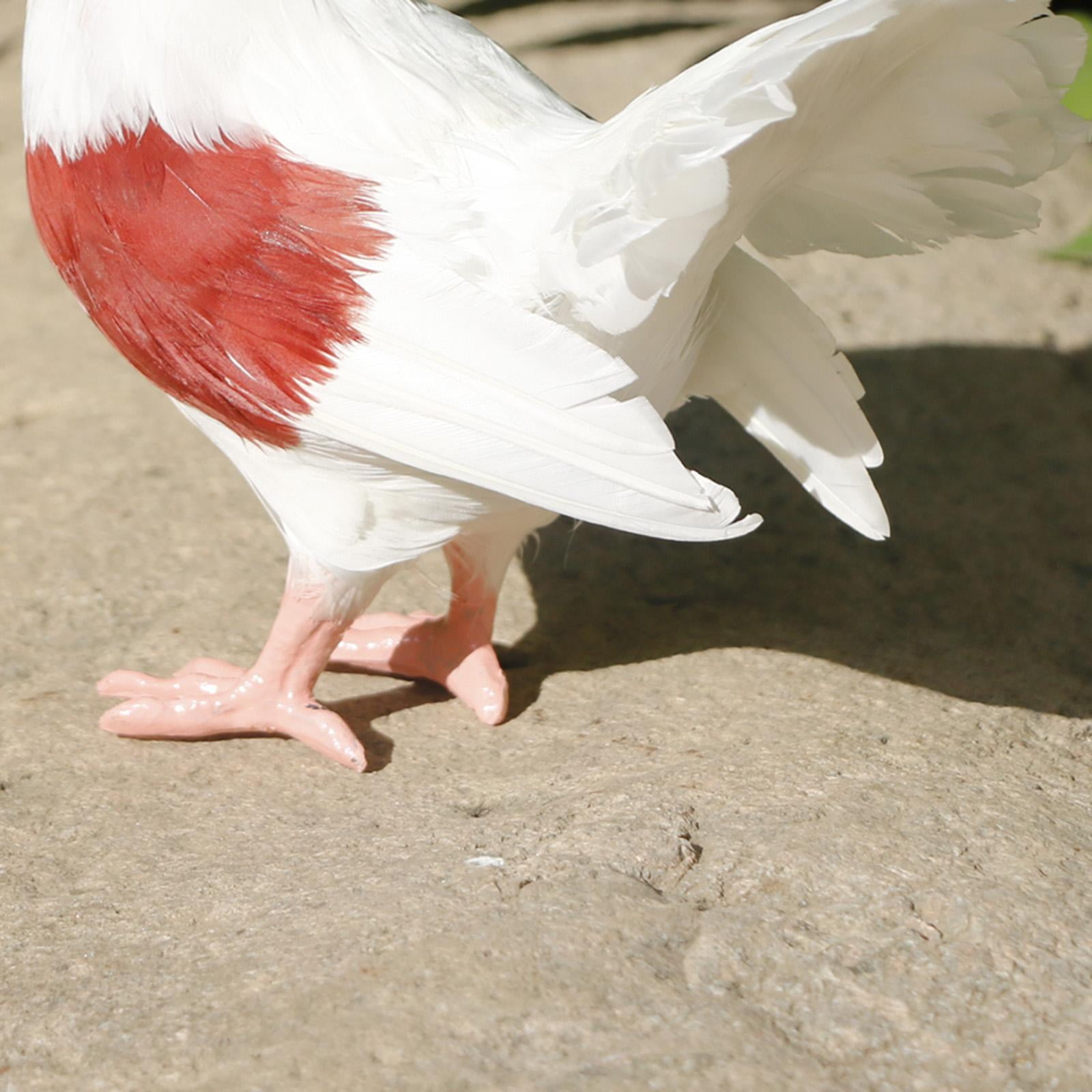 Artificial Feathered Garden Statue Sculpture, Figurines for Outdoor Indo Patio Ornament Decor