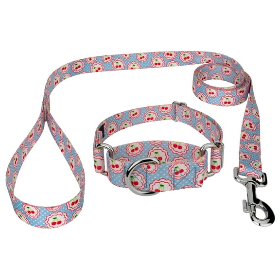 Country Brook Petz® Cherry on Top Martingale Dog Collar and Leash Limited Edition, Extra Small