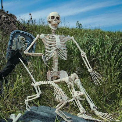 5 Foot Posable Skeleton - Home Decor - 1 Piece