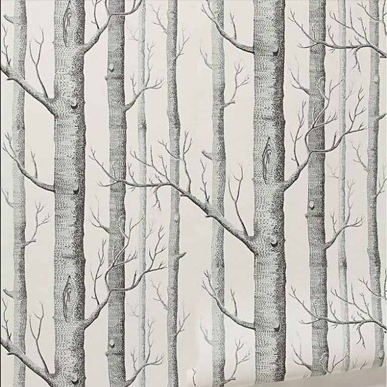 Birch Tree Wallpaper Bedroom