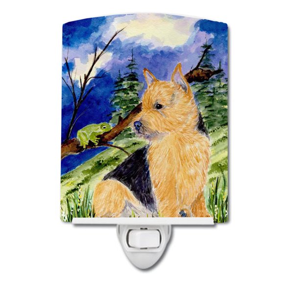 Caroline's Treasures SS8984CNL Norwich Terrier Ceramic Night Light, 6x4x3", multicolor