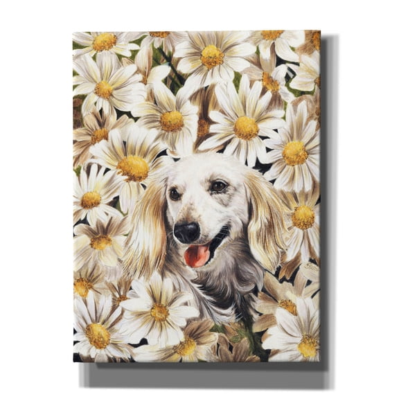 Epic Graffiti 'Dachsund In Daisies' by Barbara Keith, Canvas Wall Art, 12"x16"