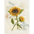 thumbnail image 2 of Reynolds, Jade 25x32 White Modern Wood Framed Museum Art Print Titled - Romantic Sunflower II, 2 of 4