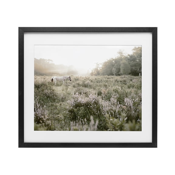 Stupell Industries Misty Sunset Horse Black Framed Print Under Glass, design by Leah Straatsma, 13 x 16