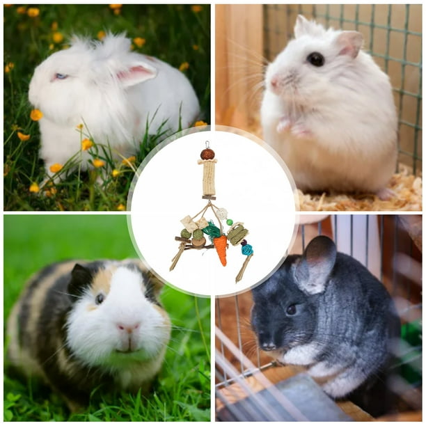 Guinea pig exercise toys 2025