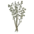 thumbnail image 1 of Vickerman H1RGM150 13 x 1-3 Po Branche Givrée&44; Vert - 14 Pièces, 1 of 1