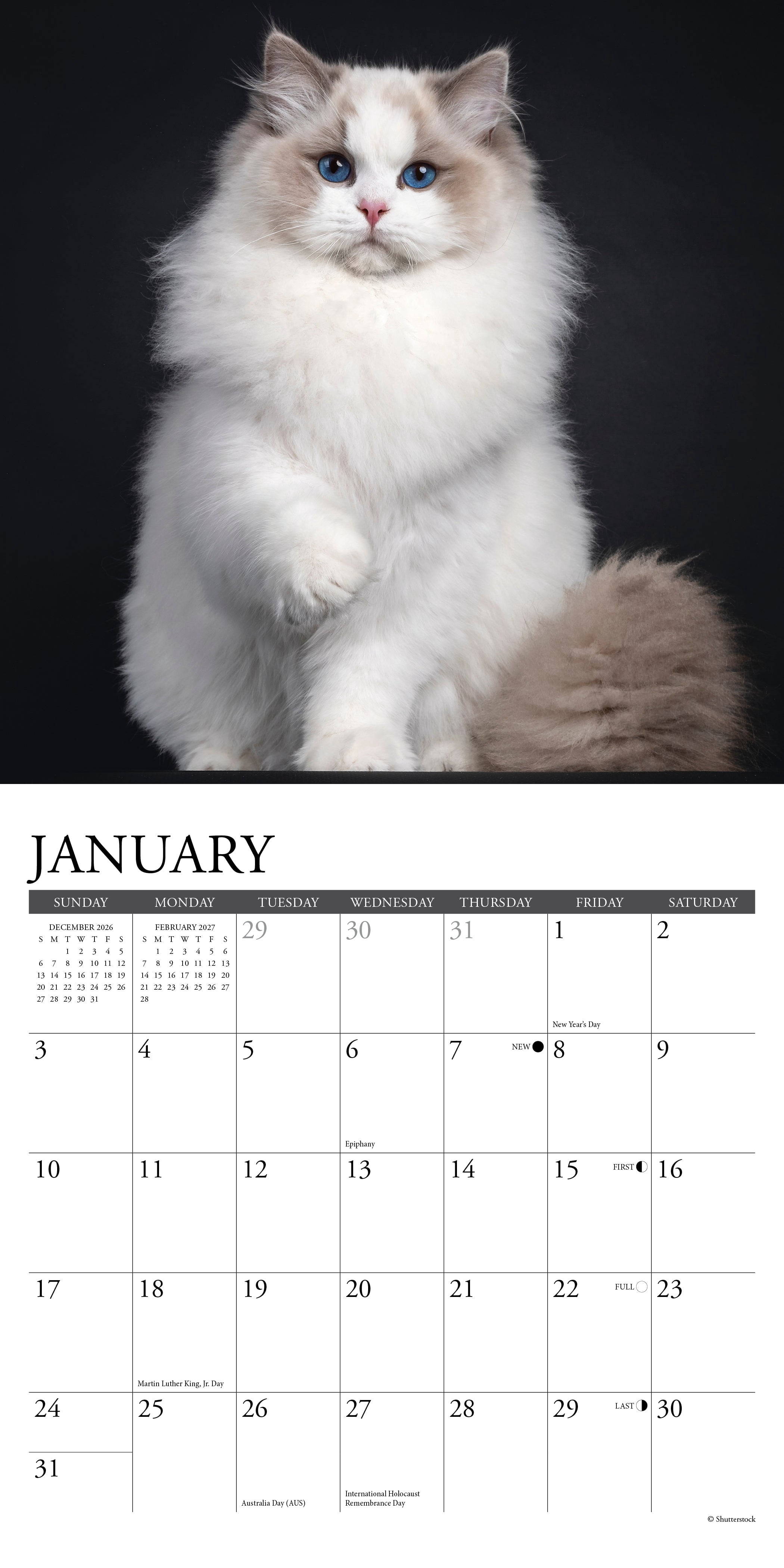 Willow Creek Press, Cats 2027 Mini Wall Calendar