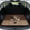 Beagle Dog Paw, variant on Xixirimido Universal Car Trunk Mat 29" x 39", All Weather Trunk Protection Durable Cargo Liner Mat Auto Interior Accessories Fit for Most Car Models, Golden Retriever Pocket Paw