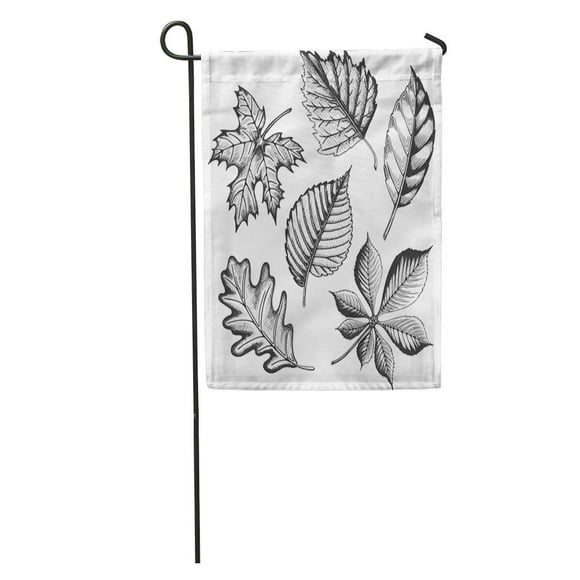 JSDART Leaf Autumn Leaves in Sketch Maple Black White Vintage Tree Garden Flag Decorative Flag House Banner 28x40 inch
