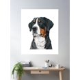 thumbnail image 2 of Swiss Mountain Dog Poster Wall Art, Modern Wall Decor, 16x24 UNFRAMED, 2 of 3