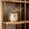 thumbnail image 6 of Cute Owl Ceramic Planter 2.6 Inch, Small Succulent Cactus Flower Pot for Indoor Outdoor Home Office Decor, Animal Style Tabletop Garden Decor Pot Gift, 6 of 6