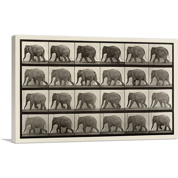 ARTCANVAS An Elephant Walking Sepia Canvas Art Print by Eadweard Muybridge - Size: 12" x 8" (0.75" Deep)
