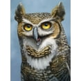 thumbnail image 2 of LaMontagne, Patrick 19x24 White Modern Wood Framed Museum Art Print Titled - Great Horned Owl Totem, 2 of 4