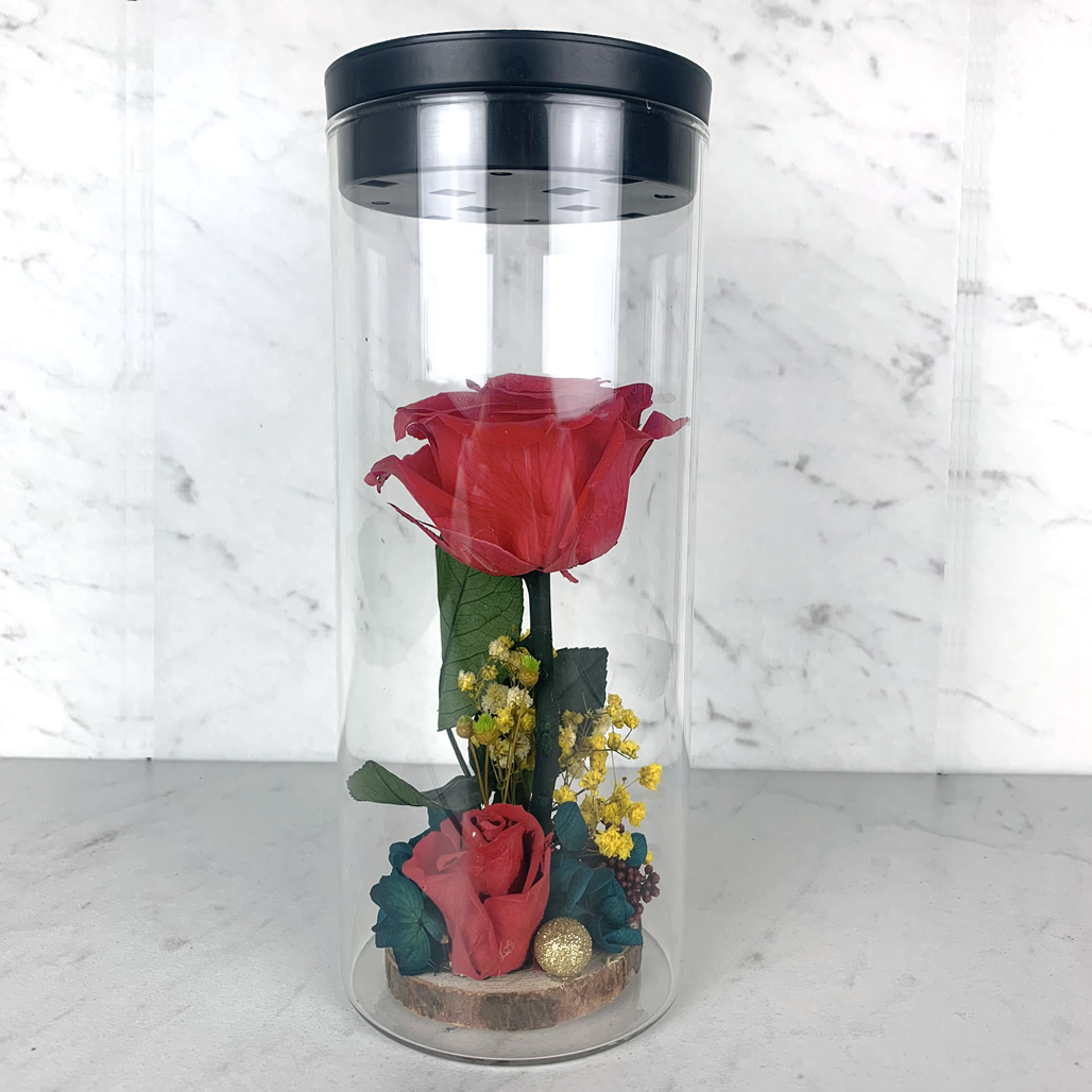 8.5" Enchante Forever Rose Touch Night Light Preserved Flower LED Lamp, Red