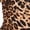 brown, variant on Women One Shoulder Leopard Print Jumpsuit Slim Fit Asymmetrical Stretch Outfit