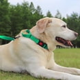 thumbnail image 2 of HAHDAXIA Collier Martingale pour Chiens, Collier pour Chien Réfléchissant Robuste pour la Sécurité, Boucle à Dégagement Rapide, Colliers en Nylon Ajustables pour Chiens Moyens pour la Marche et l'Entraînement, Vert, m, 2 of 7