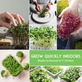 thumbnail image 6 of Microgreens Seeds Variety Pack 15 Pack - Heirloom Partial Sun Annual Vegetables, 6 of 10