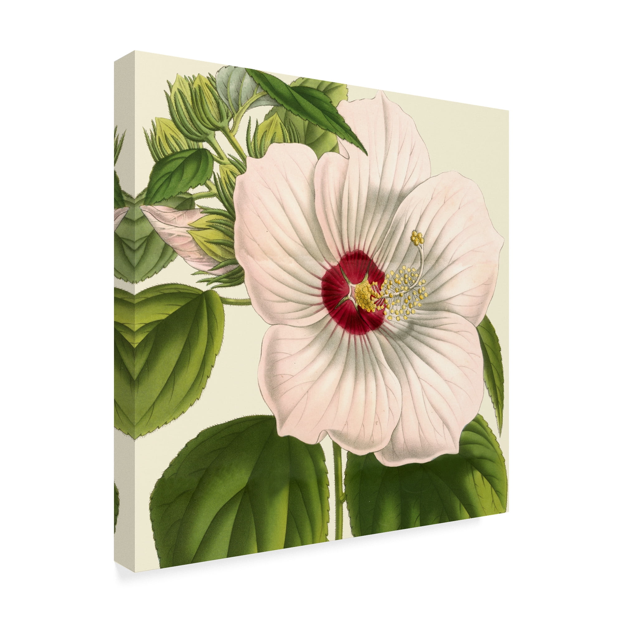 Trademark Fine Art 'Tropical Vision I' Canvas Art by Vision Studio