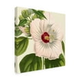thumbnail image 2 of Trademark Fine Art 'Tropical Vision I' Canvas Art by Vision Studio, 2 of 4