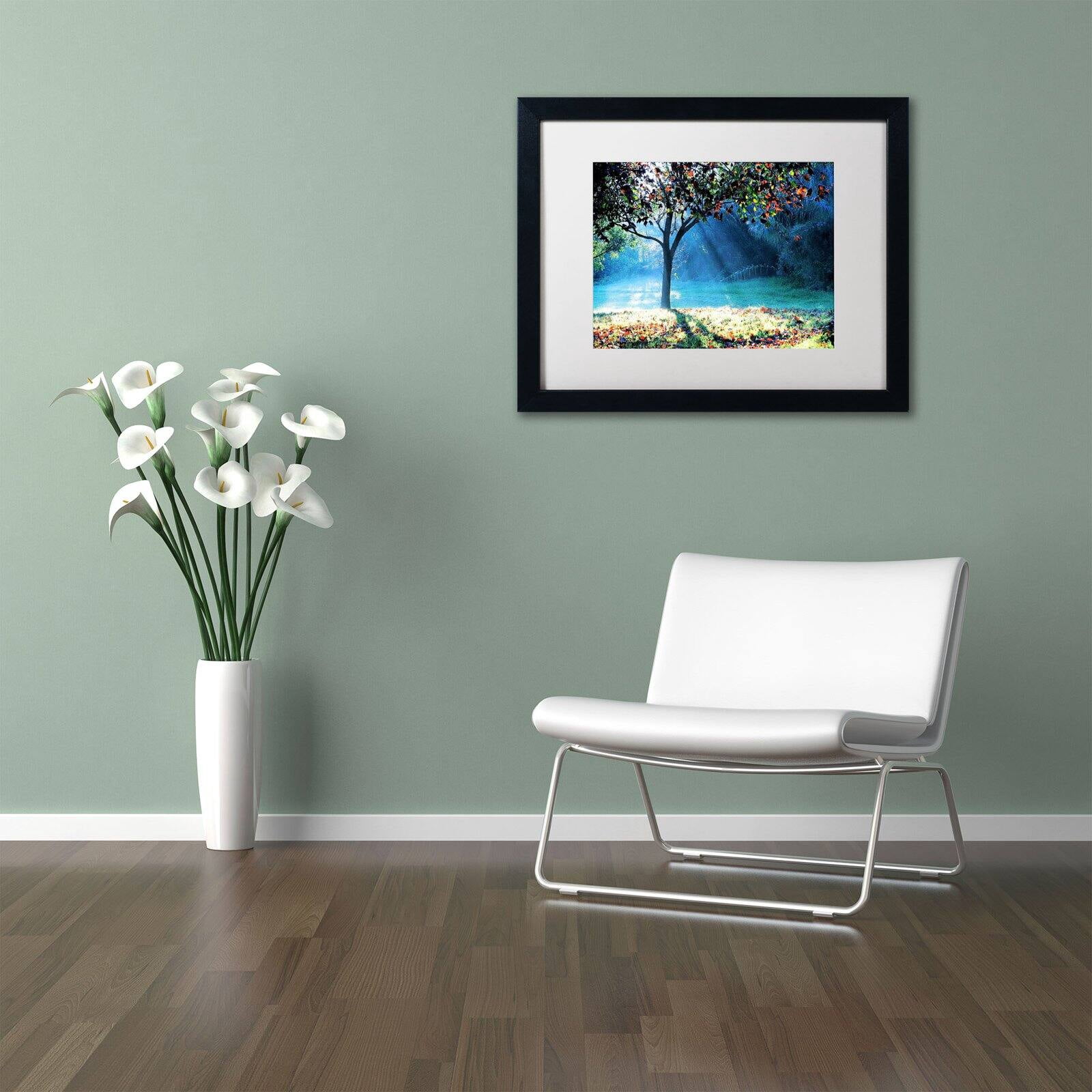 Trademark Fine Art "Rays of Hope" Canvas Art by Beata Czyzowska Young, Black Matte, Black Frame