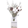 thumbnail image 1 of 1 Juego de flores secas, jarrón decorativo de cristal transparente para jardín de primavera Flor de cinta blanca, 1 of 8
