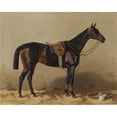 thumbnail image 3 of Emil Volkers 18x15 Black Modern Framed Museum Art Print Titled - Saddled Sports Horse (1895), 3 of 5