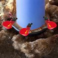thumbnail image 4 of Bebedero para aves de corral, 5 uds., gallinero, herramienta para colgar agua, 4 of 4