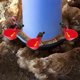 thumbnail image 4 of Bebedero para aves de corral, 5 uds., gallinero, herramienta para colgar agua, 4 of 4