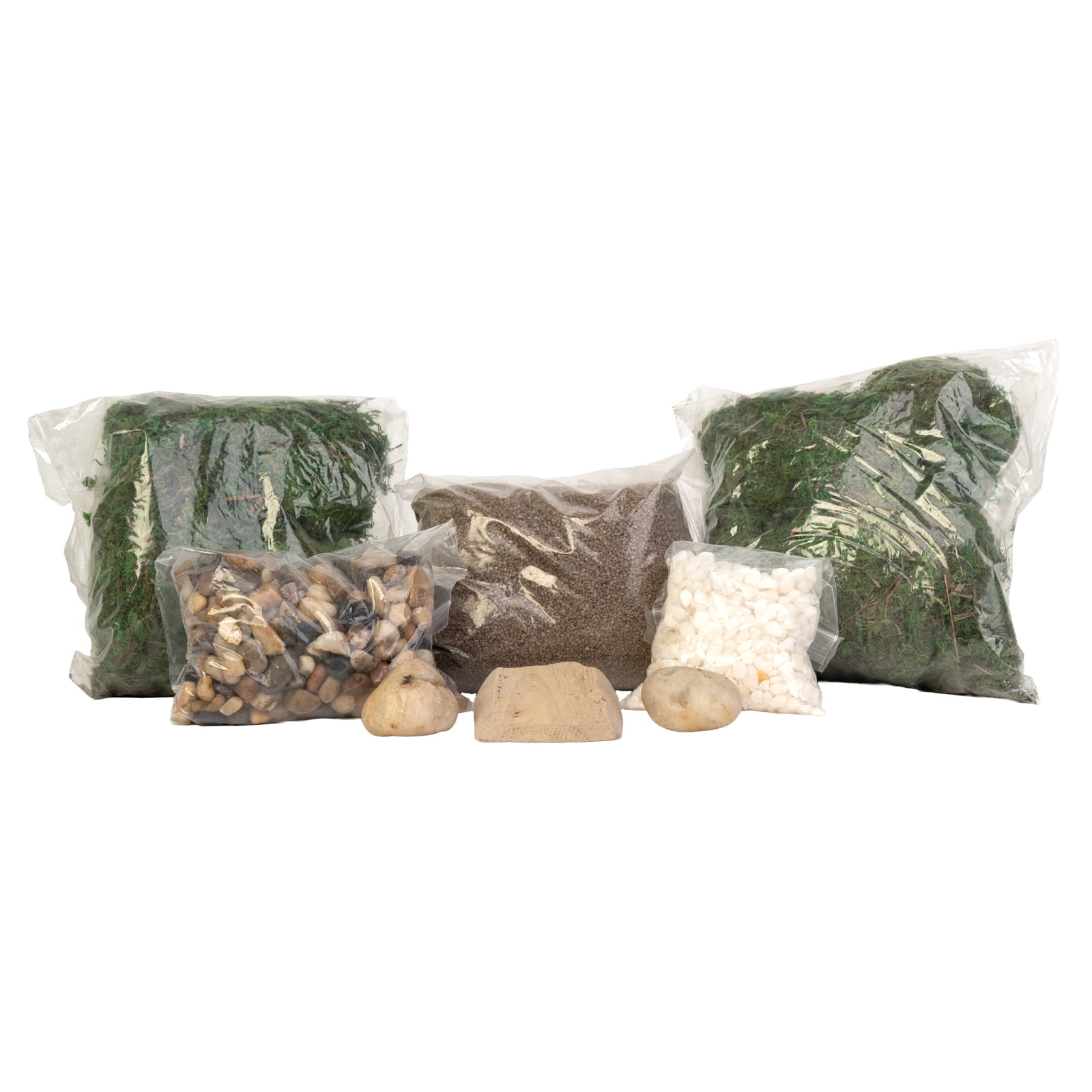 Better Homes & Gardens Terrarium Starter Kit for Indoor Plants