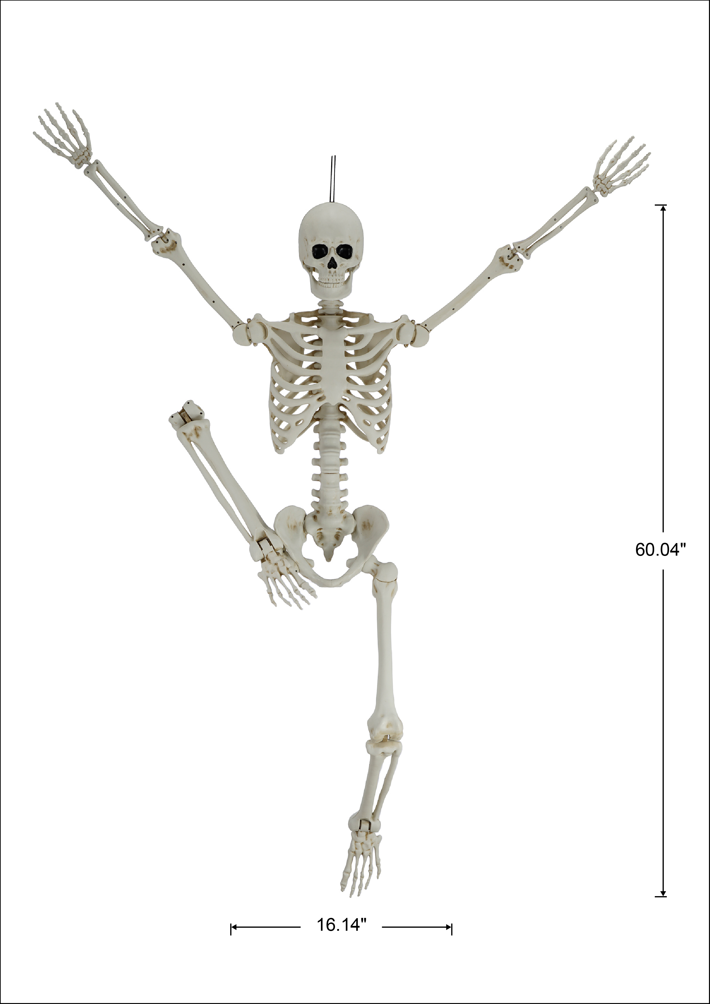Way To Celebrate Hanging Posable Skeleton Decoration, White, 5 Ft photo 4
